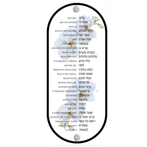 Orchid Asher Yatzar with English Bulk Buy