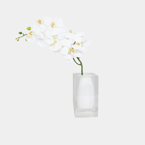 Block Vase with Orchid Mishloach Manos